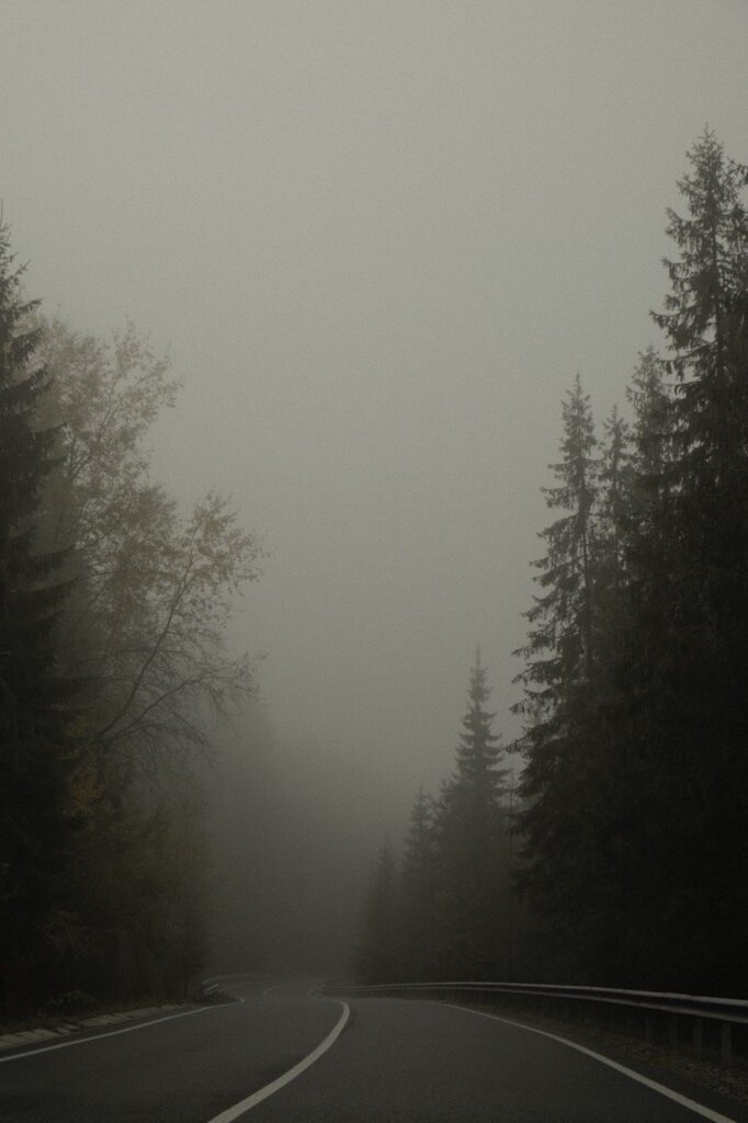 020