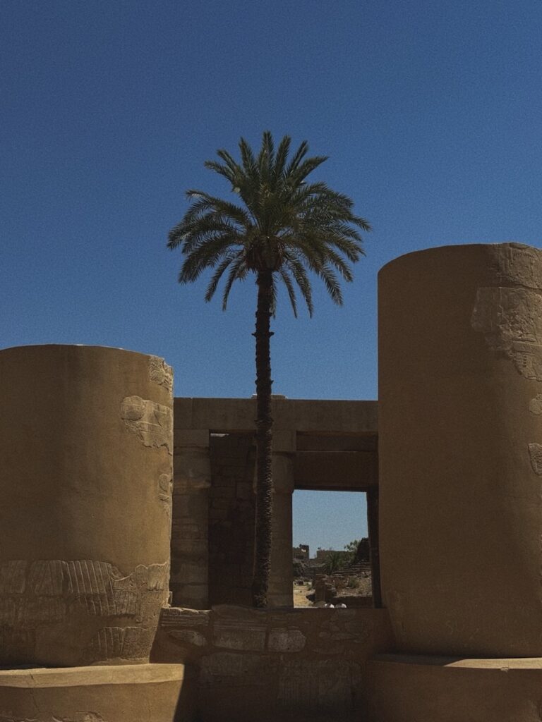 031
